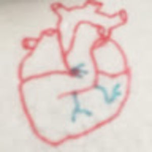 Meet your Posher, Frankie